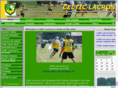 celticlacrossenj.com