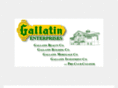 gallatin-enterprises.com