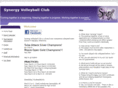 synergyvolleyball.net
