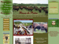 bisonsdupoitou.com
