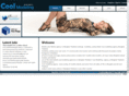coolmodeling.net