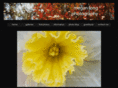 meganlongphotography.com
