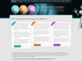 the-optimizers.co.uk