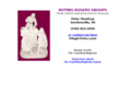 travellingmagician.com