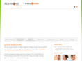 bridgingstudies.com