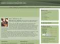 lakesconsultingfirm.com