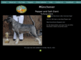 munchener.net