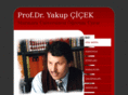 yakupcicek.net