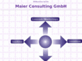 maier-consulting.com