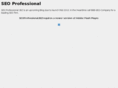 seoprofessional.biz