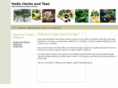 vedicherbsandteas.com