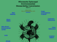 env-steward.com
