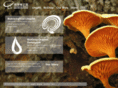 hongkongmushroom.com
