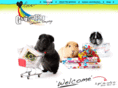 myguineapigcalendar.com