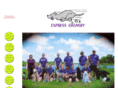 expressdeliveryflyball.com