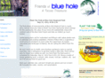 friendsofbluehole.org