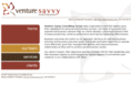 venturesavvy.com