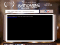 bottomline.ie