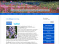 dallasallergy.net