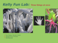 kellyfunlab.com