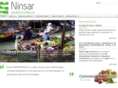 ninsar.biz