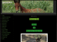 wanorastud.com