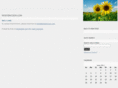 kristiericson.com