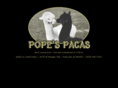 popespacas.com