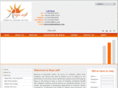 rayssoft.com