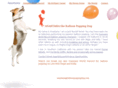 balloonpoppingdog.com