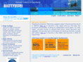 blutravel.com