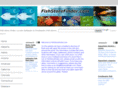 fishstorefinder.com