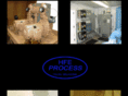 hfeprocess.com