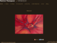patrickthompsonstudio.com