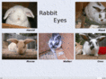 rabbiteyes.com