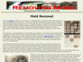 removingmold.org