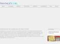 vantagescoresolutions.com