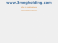 3megholding.com