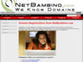 affiliatedomainers.com