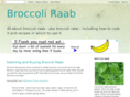 broccoliraab.com