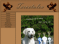 jtoivonen.com
