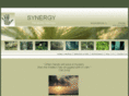 synergytherapeuticmassage.com