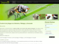 desinsur.com