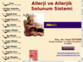 allerjik.com