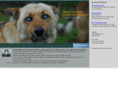 alpern.org