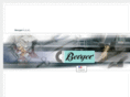 bergerllc.com
