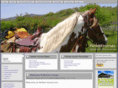 perfecthorses.com