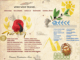 venividitravel.com