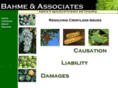 bahmeandassociates.com