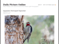 dailypictureonline.com